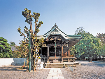 安養寺 観音堂