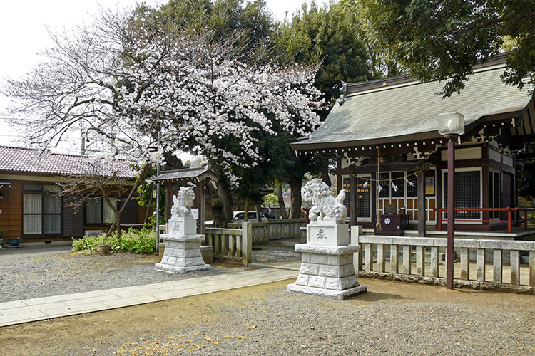 森野住吉神社 境内